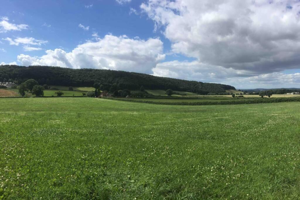 Forest Of Dean Country