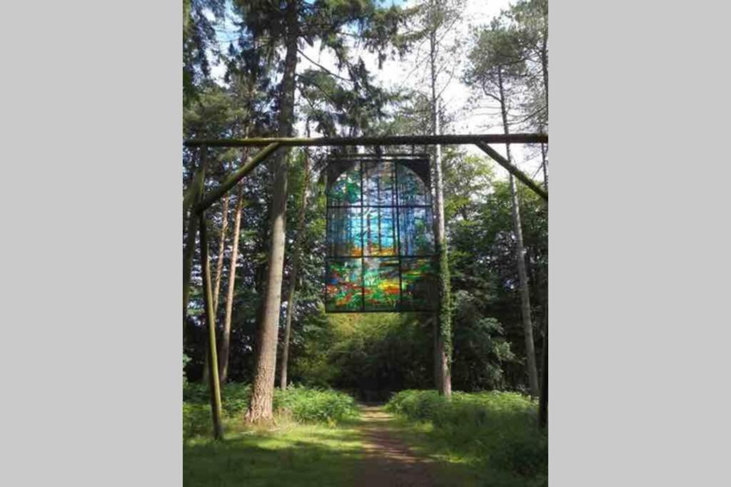 Forest Of Dean Country