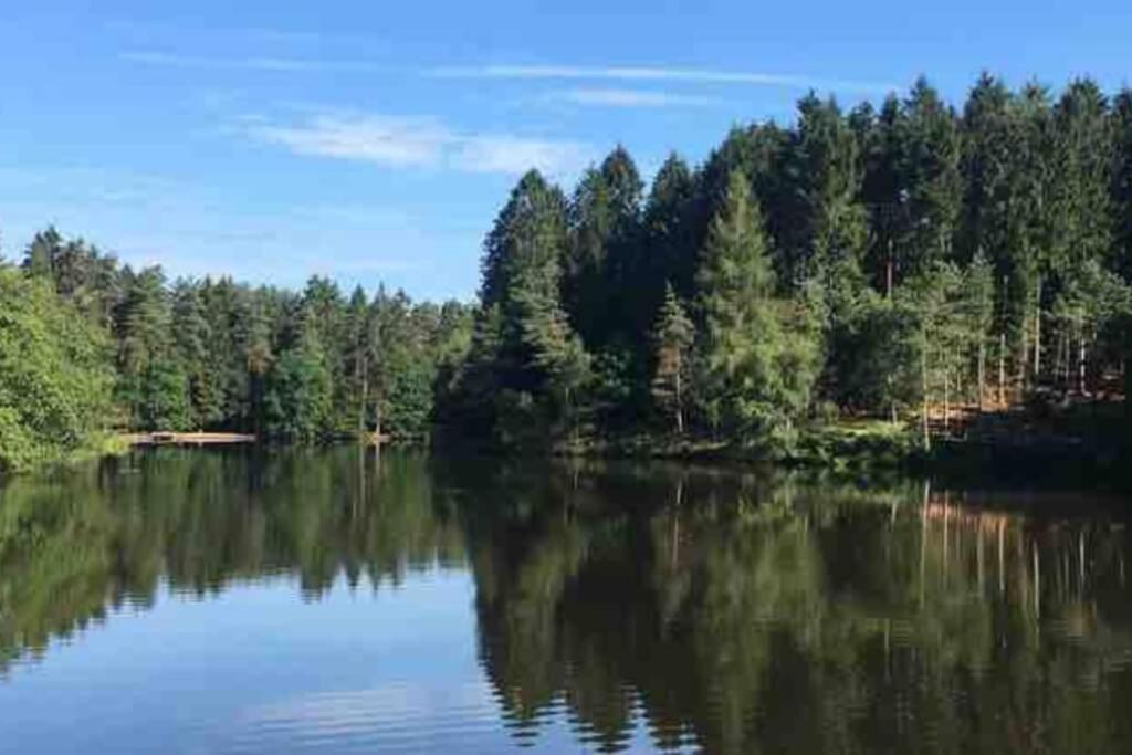 Forest Of Dean Country *
